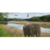 animals_8_no_2_donaunationalpark_1751067799