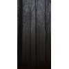 forrest_5_w_5_wienerwald_1543126112