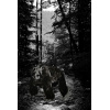 forrest_herbert_brandl_surreal_414x279
