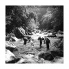 jorg_friedmann_b2b_jungle_trip_297x297