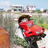 landscapes_2_blz_1_caye_caulker_434599817