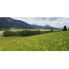 landscapes_6_knt_12_presseggersee_1789811381