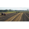 landscapes_8__no_10_kurbisernte_216736841