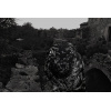 last_lion_in_croatia_cres_herbert_brandl_surreal_414x279