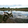 may_ducati_monster_verirrt_sich_im_donaunationalpark_no_1146768086