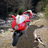 mv_augusta_verirrt_sich5_3961x3961_quadr_798496920