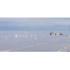 waters_11_gtm_3_livingston_ton_in_ton_540976899