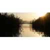 waters_22_ktn_28_weissensee_schilf_520164239
