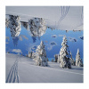 z_1_dream_worlds_biography_paralellwelten
